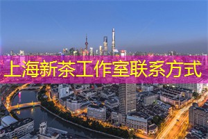 从坚持到专业：追寻上海的运动梦