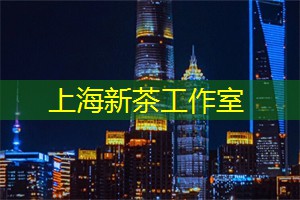 与朋友共享的上海游乐活动