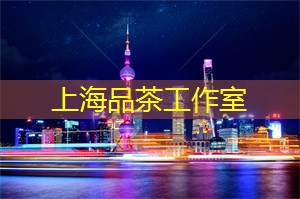 沉浸于文学作品的夜晚阅读