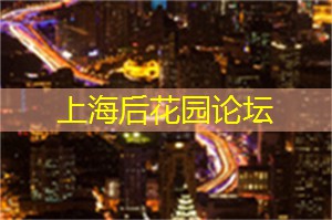 身心放松的深夜SPA体验